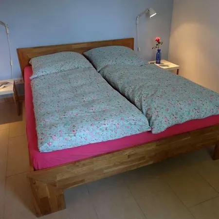 בית נופש Feriendorf Sudstrand Haus 12 פלצרהאקן